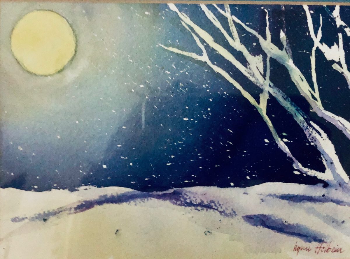 Moonlight on the Snow