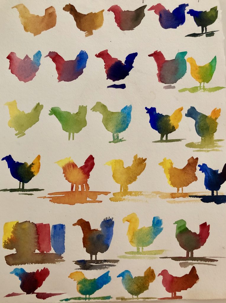 Chicken Colors Chart
