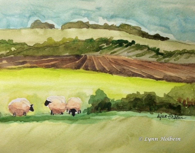 Sheep in a Pasture
