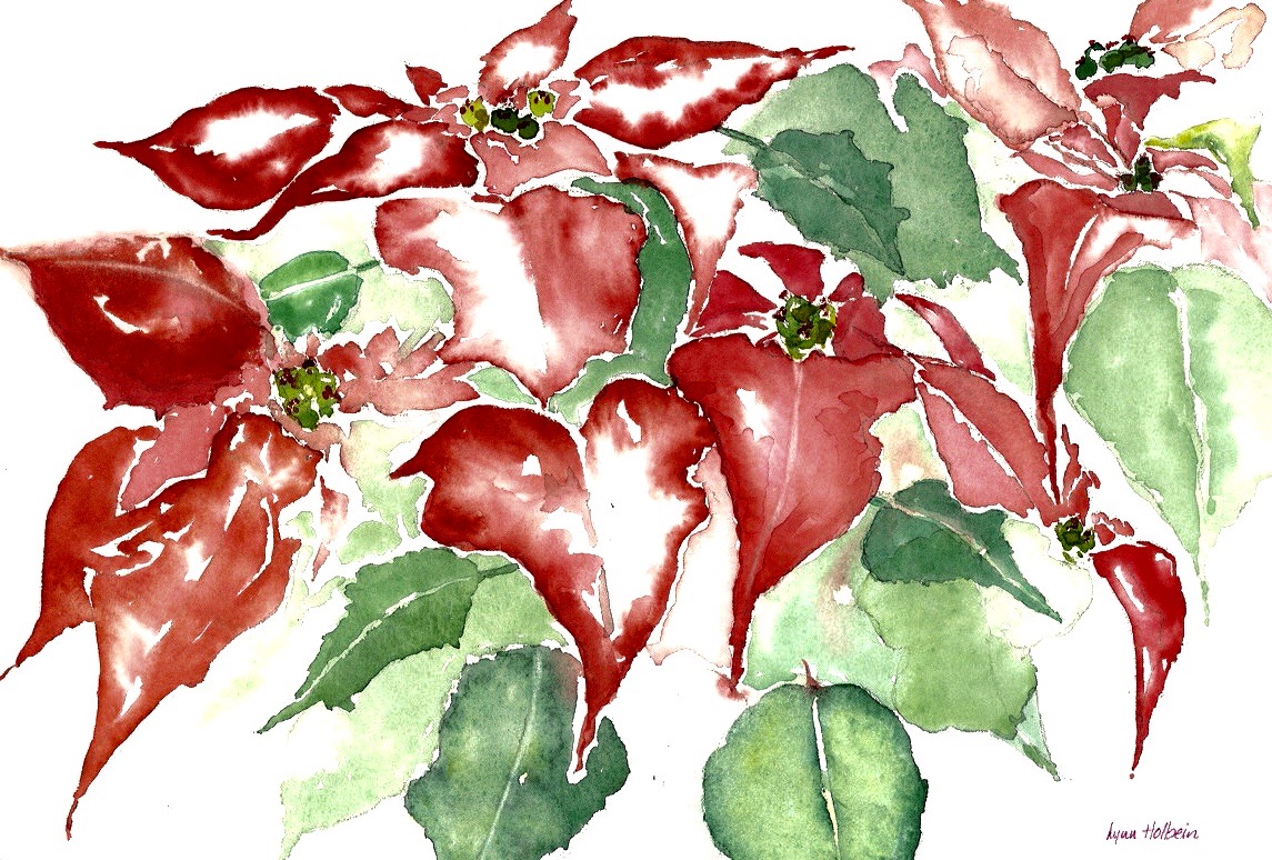 Poinsettias