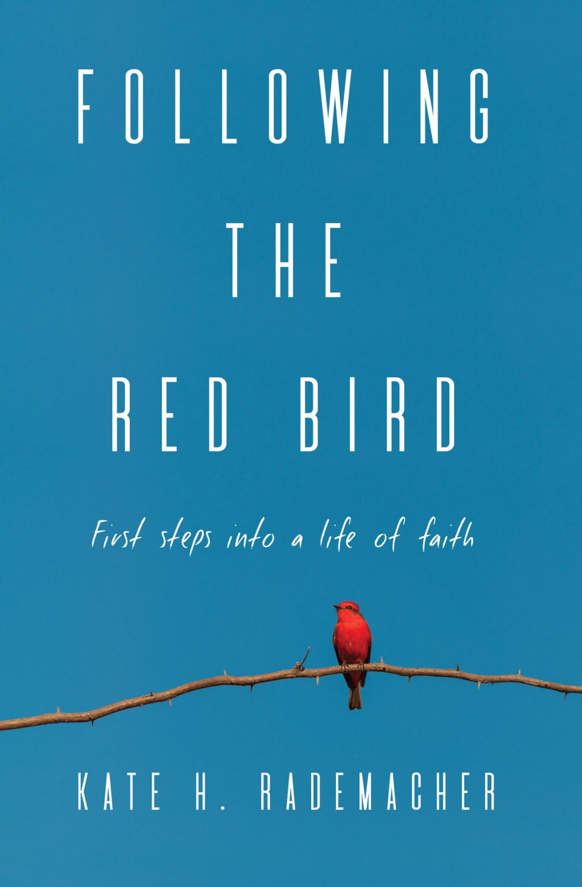 Following the Red Bird