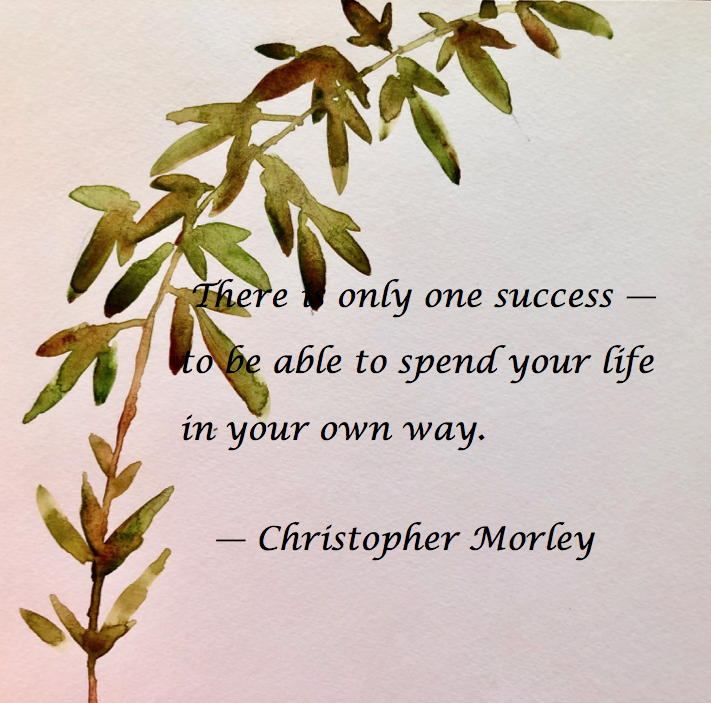 Only One Success …