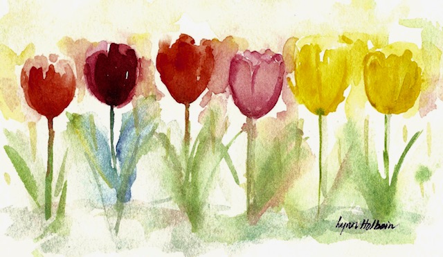 Tulips